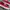 Vans Authentic Red