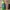 Cosplay Kids Green