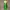 Cosplay Kids Green