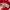 Adidas Casual Sweater Pria red photo 7