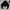 Patagonia Y2K Skater Hoody Pria black photo 4