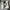 Nike Minimalist Sneakers Pria white photo 3