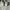 Nike Minimalist Sneakers Pria white photo 4