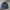 Gap Outer Knit
