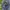 The North Face Gorpcore Track jacket Pria navy photo 5