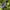 The North Face Gorpcore Track jacket Pria navy photo 3