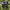 The North Face Gorpcore Track jacket Pria navy photo 4