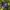 The North Face Gorpcore Track jacket Pria navy photo 2