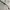Tom Ford Luxury Glass Pria black photo 6