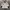 Vintage YC Tulips Embroidered Outer photo 1