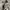 Vintage OG M65 Field Jacket photo 7