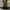 Dr. Martens Indie Minimalist Boots Pria black yellow photo 4