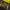 Dr. Martens Indie Minimalist Boots Pria black yellow photo 6