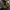 Dr. Martens Indie Minimalist Boots Pria black yellow photo 5