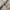 Vintage Y2K Billabong Hoodie Pria Beige photo 5