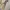Vintage Y2K Billabong Hoodie Pria Beige photo 4