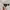 Ray Ban Vintage Casual Sunglass Pria Gold Black