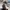 Ray Ban Vintage Casual Sunglass Pria gold black photo 4