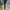 Columbia Gorpcore Windbreaker Pria Multicolor