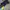Columbia Gorpcore Windbreaker Pria Multicolor
