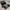Ray Ban Vintage Luxury Sunglass Pria gold gray blue photo 4