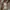 Burberry Luxury Windbreaker Pria gray photo 4