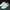 Adidas Neo Advantage White Tosca Casual Shoes