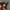 Ray Ban Vintage Biker Sunglass Pria brown photo 5