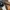 Ray Ban Streetwear Casual Sunglass Pria black photo 6