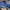 NIKE TN PLUS BIRU photo 1
