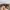 Ray Ban Streetwear Casual Sunglass Pria Black