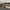 Ray Ban Streetwear Casual Sunglass Pria Black