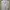 Helmut Lang Body Raglan Sleeve 