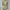 Marni All Forest Art Silk Blouse photo 4