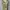 Marni All Forest Art Silk Blouse photo 2