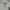 Stussy Streetwear Skater Hoody Pria gray photo 4