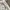 Stitch Patchwork Pants ADLV / Acme De La Vie ivory photo 6