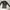 LAXYBEE rashguard, baju renang lengan panjang photo 1