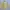 Casual Windbreaker Pria yellow photo 2