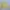 Casual Windbreaker Pria yellow photo 1