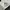 Adidas Casual Sneakers Pria white photo 2