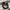 CALVIN KLEIN QUARTZ WATCH photo 2