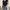 Vintage Y2K Crop top Wanita black photo 5