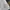 Japanese brand Lolita Cosplay Wanita white black photo 5