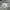 Biker Casual Hoody Pria white black gray photo 5