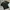 Balenciaga Luxury T-shirt Pria black photo 1