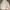Adidas Streetwear Sportswear Hoody Pria White