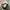 ROPE HAT TRUCKER - CRYTAL BALL photo 6