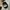 VINTAGE HAT - MEDICATED VET OFFICIAL MILITARY HEADWEAR photo 5