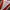 Sportswear Jersey Pria white red photo 2